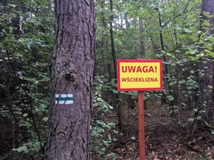Wścieklizna rujnuje powiat