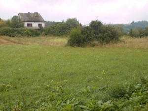 Joniny: Zbiornik potrzebny od zaraz!