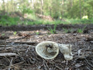 Porozmawiajmy o seksie…