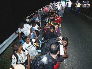 Imigranci ponownie w Tarnowie?