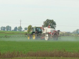 Kup pan dżem, czyli rolnik wchodzi na rynek