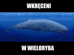 Wkręceni w wieloryba