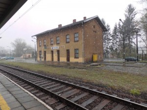 Historia w trocinach