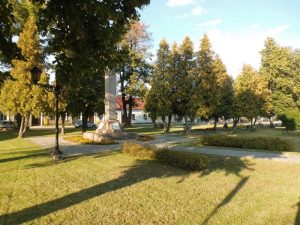 Wojnicz. Policja wychodzi na ulice