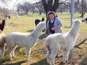 Dziennikarka Ewa Godlewska-Jeneralska, która ponad 30 lat spędziła w TVP, będąc m.in. wydawcą Panoramy, zajmuje się hodowlą… alpak.