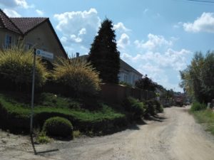 Tarnów: Walczą o skrawek zieleni