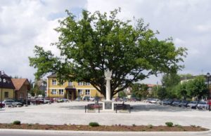Łapanów: Widzę ciemność, ciemność widzę…