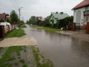 Wierzchosławice: Życie pod wodą