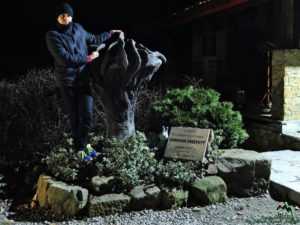 Jakub Nowak i 365 nocnych zdjęć