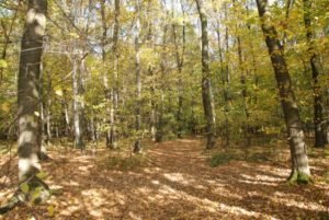 Tarnów: Zabierzcie stąd samochody!