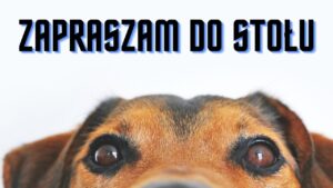 Pies w restauracji… mile widziany
