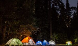 Na nocleg do lasu