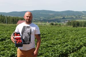 Truskawkowy szał