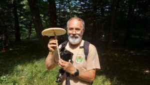 Jest deszcz, są grzyby