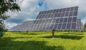 Pandemia wstrzymuje fotowoltaiczne inwestycje