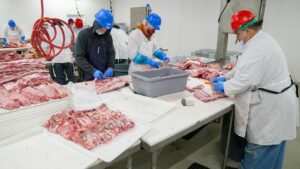 Rekordowe ceny gazu problemem dla produkcji żywności