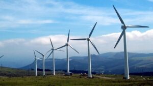 Konfederacja walczy z wiatrakami, fot. Canva