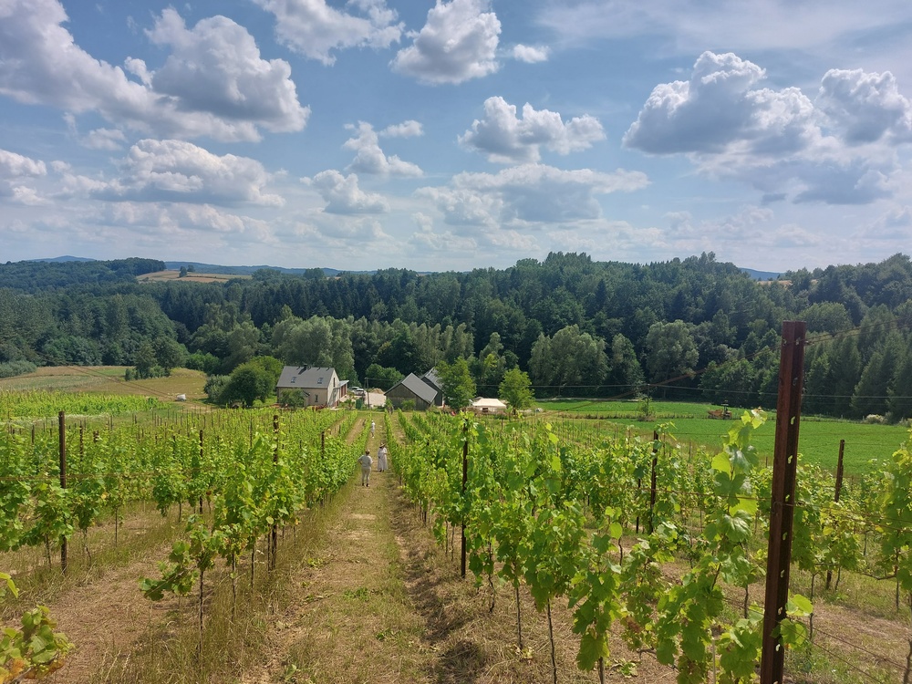 wyjazd studyjny winnica kosmos (2) (1)