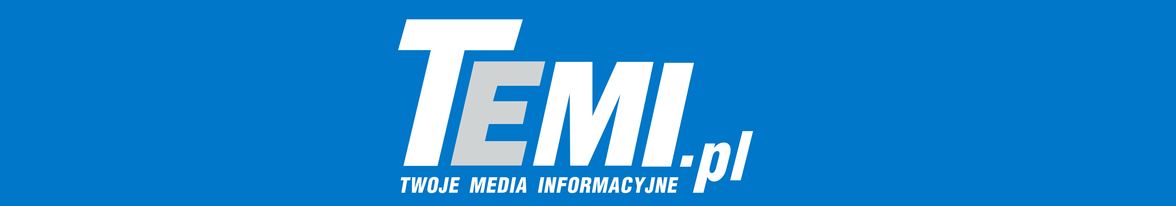 temi logo duze